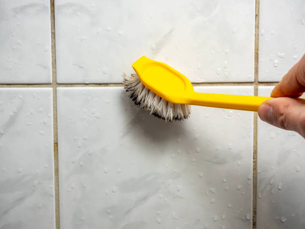Best Water Damage Restoration  in Dallesport, WA