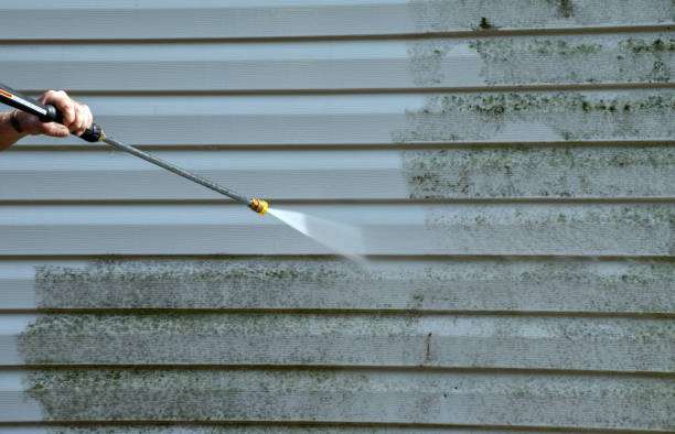 Best Crawl Space Mold Removal  in Dallesport, WA