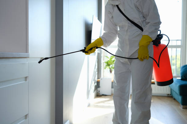 Trusted Dallesport, WA Mold Removal Experts