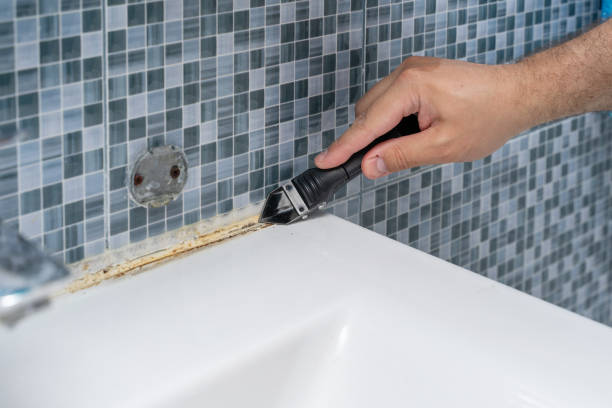 Best Mold Removal Specialists  in Dallesport, WA